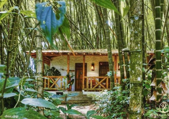 اتاق استاندارد با وان آب گرم, Bosques Del Saman Alcala