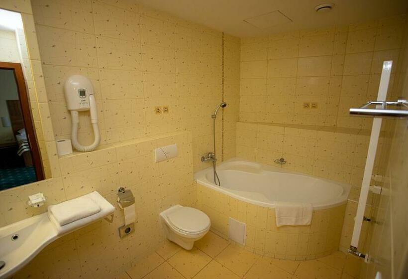 スタンダードルーム, Grand