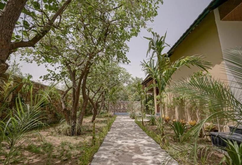 خانه 1 خوابه, Nature Village Resort