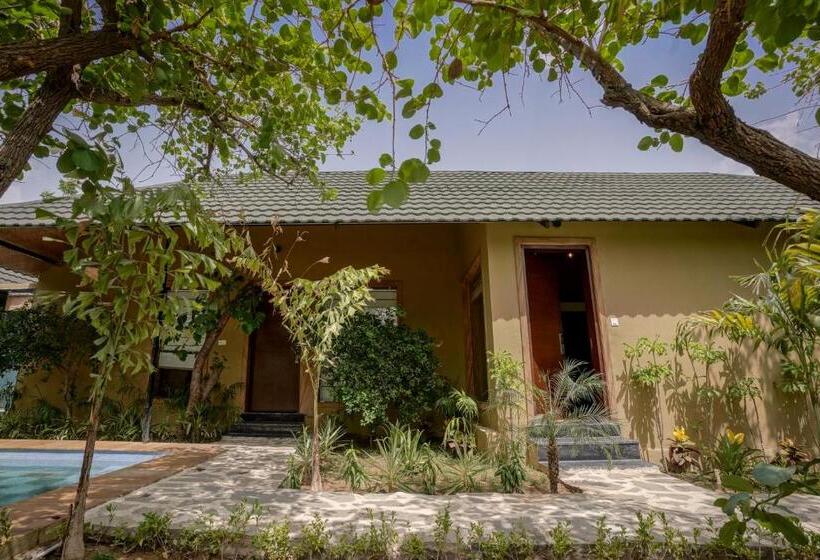 خانه 1 خوابه, Nature Village Resort