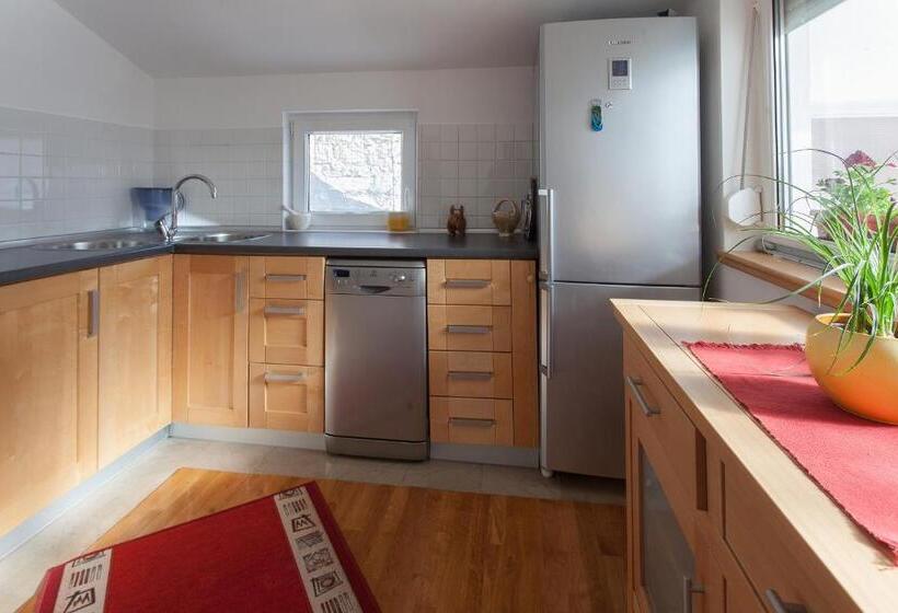 استودیوی استاندارد, Guesthouse Rota
