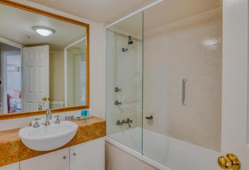 شقة غرفة واحدة, Bel Air On Broadbeach   Official