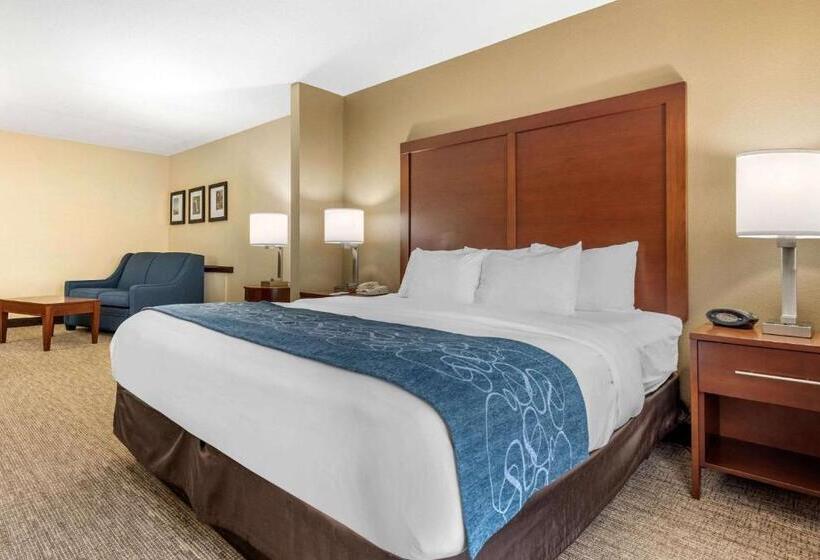 סוויטה מותאמת לאדם עם מוגבלויות, Comfort Suites Daytonwright Patterson
