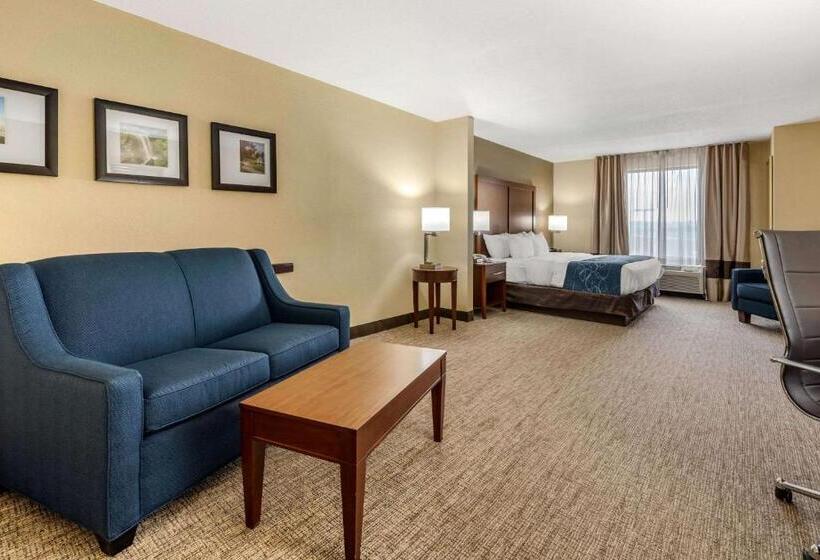장애인을 위한 스위트, Comfort Suites Daytonwright Patterson