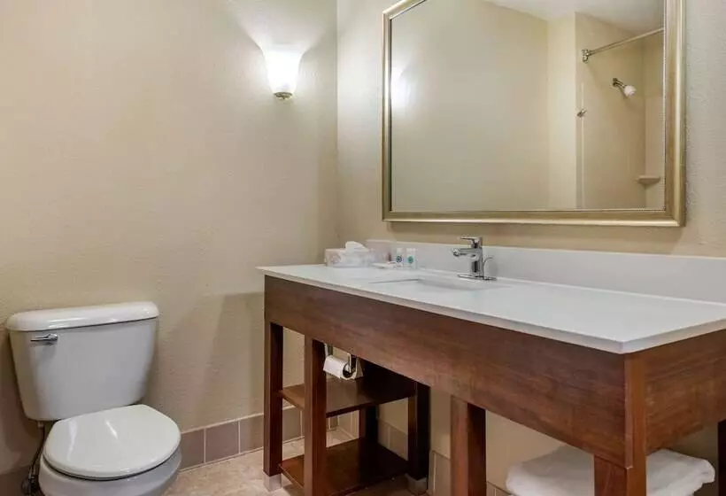 سوییت, Comfort Suites Daytonwright Patterson
