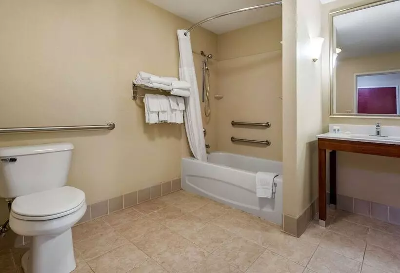 سوئیت برای معلولان, Comfort Suites Daytonwright Patterson