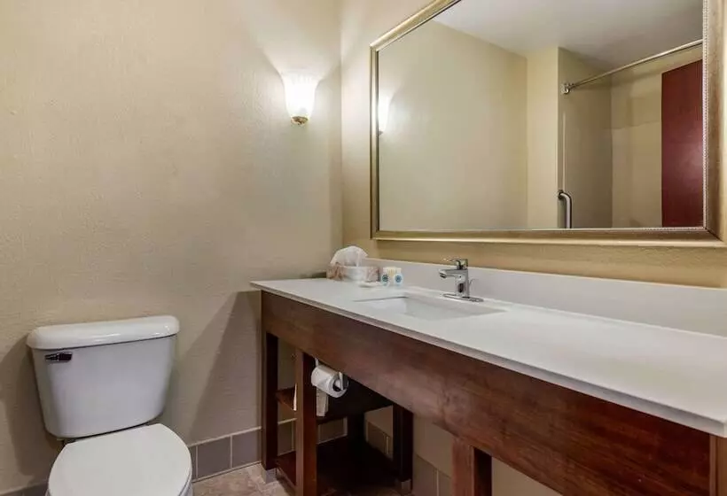 سوئیت برای معلولان, Comfort Suites Daytonwright Patterson