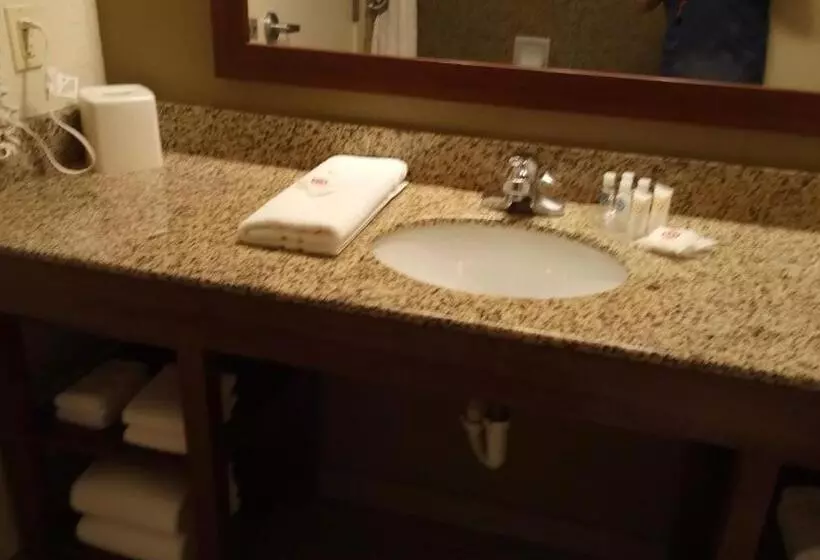 身障者適用スイートルーム, Comfort Suites Golden Isles Gateway