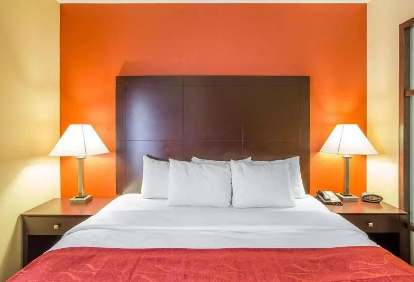 身障者適用スイートルーム, Comfort Suites Golden Isles Gateway