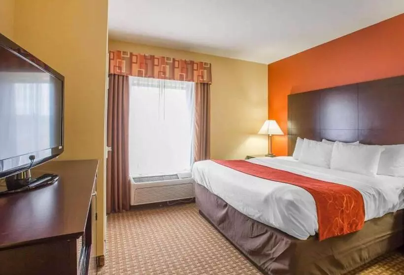 身障者適用スイートルーム, Comfort Suites Golden Isles Gateway