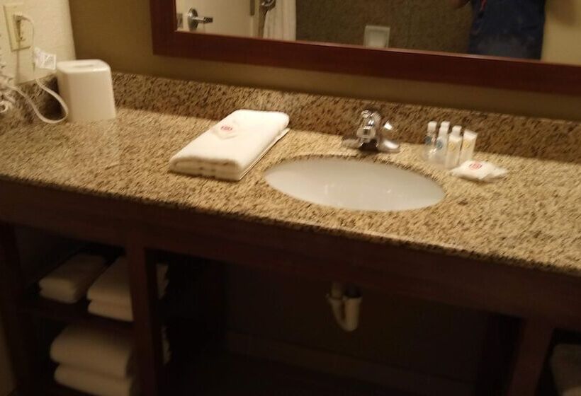 장애인을 위한 스위트, Comfort Suites Golden Isles Gateway