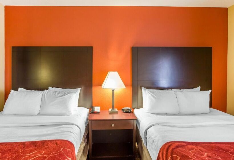 适合残疾人士使用的套间, Comfort Suites Golden Isles Gateway