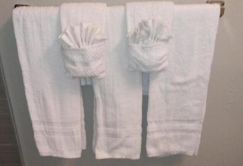 ベーシックトリプルルーム, Downtown Inn