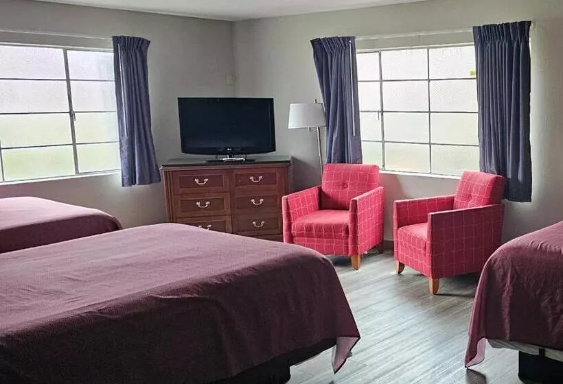 ベーシックトリプルルーム, Downtown Inn