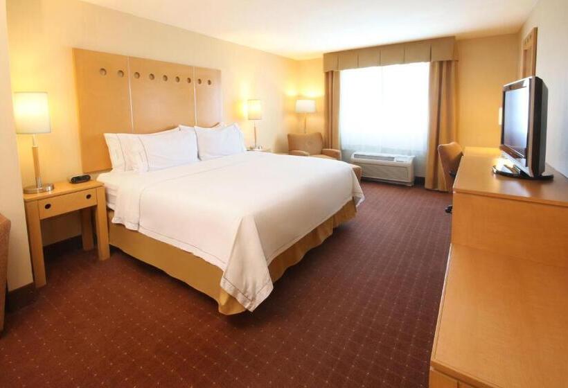스탠다드 룸 킹사이즈 침대, Holiday Inn Express Hotel & Suites Cd. Juarez   Las Misiones, An Ihg