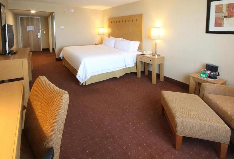 스탠다드 룸 킹사이즈 침대, Holiday Inn Express Hotel & Suites Cd. Juarez   Las Misiones, An Ihg
