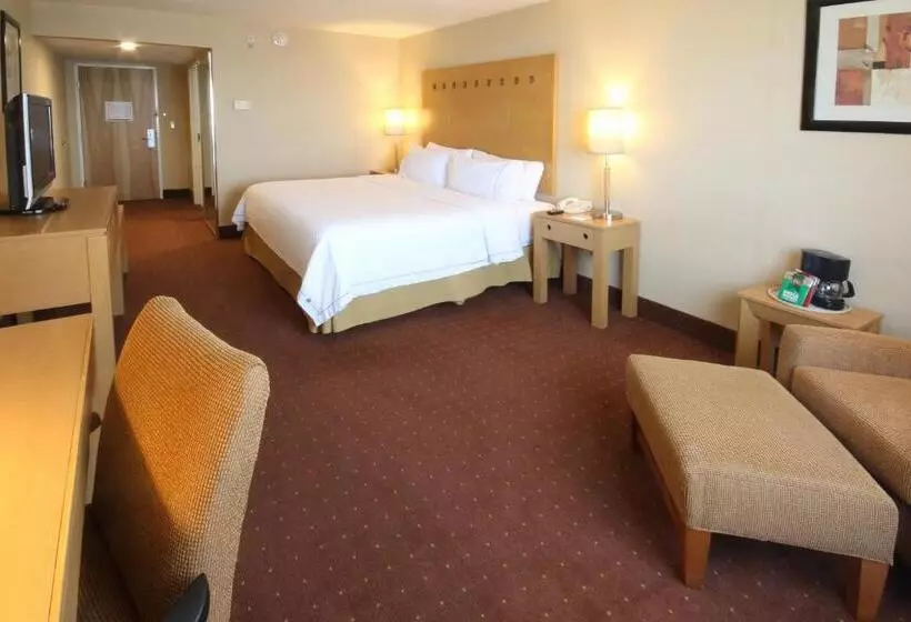 キングサイズベッドのスタンダードルーム, Holiday Inn Express Hotel & Suites Cd. Juarez   Las Misiones, An Ihg
