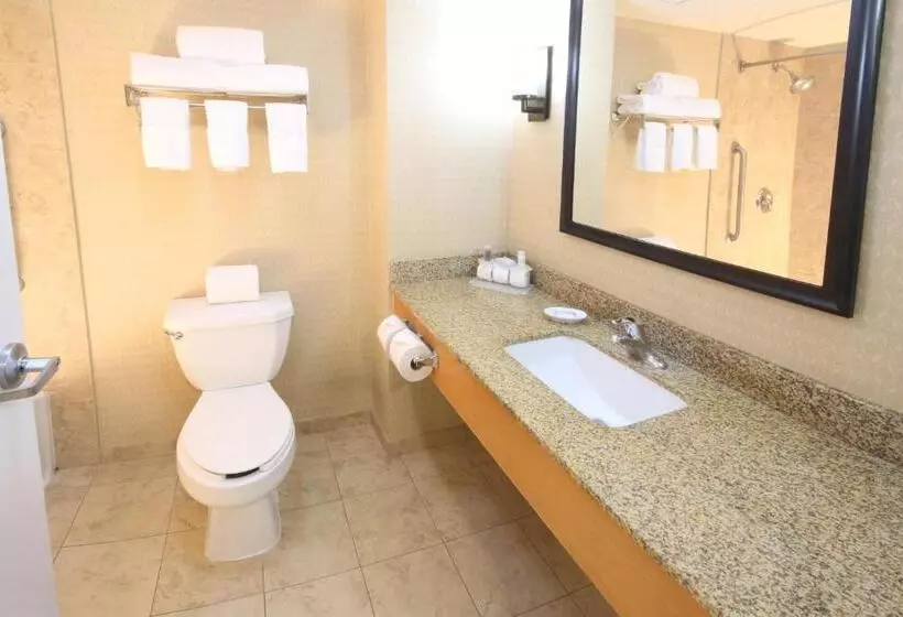 キングサイズベッドのスタンダードルーム, Holiday Inn Express Hotel & Suites Cd. Juarez   Las Misiones, An Ihg