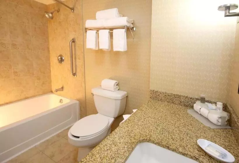 キングサイズベッドのスタンダードルーム, Holiday Inn Express Hotel & Suites Cd. Juarez   Las Misiones, An Ihg