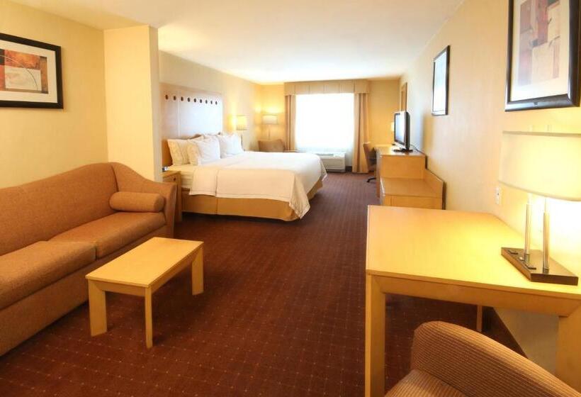キングサイズベッドのスイートルーム, Holiday Inn Express Hotel & Suites Cd. Juarez   Las Misiones, An Ihg