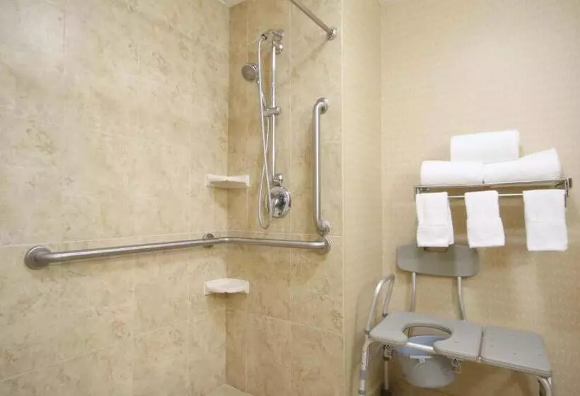 キングサイズベッドのスタンダードルーム, Holiday Inn Express Hotel & Suites Cd. Juarez   Las Misiones, An Ihg