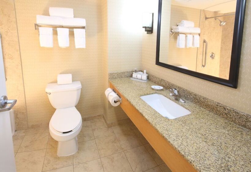スイート, Holiday Inn Express Hotel & Suites Cd. Juarez   Las Misiones, An Ihg