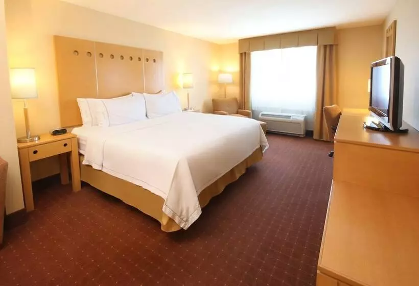 スイート, Holiday Inn Express Hotel & Suites Cd. Juarez   Las Misiones, An Ihg