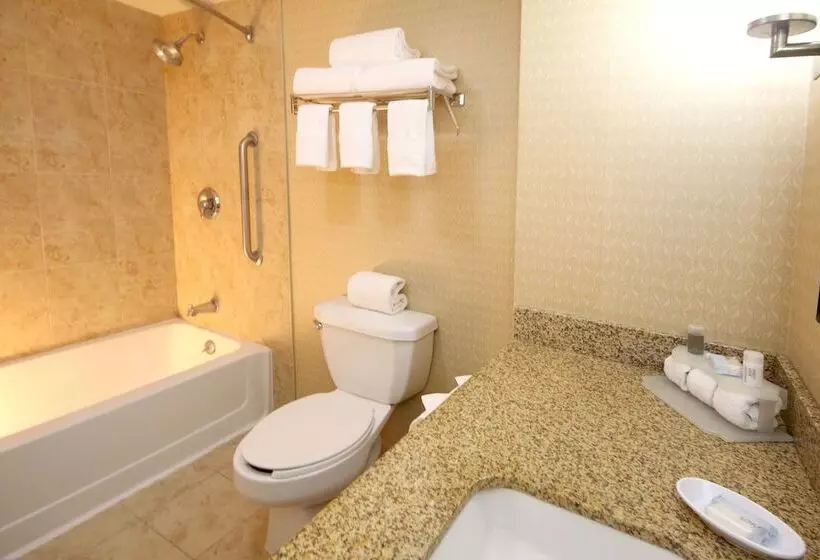 スイート, Holiday Inn Express Hotel & Suites Cd. Juarez   Las Misiones, An Ihg