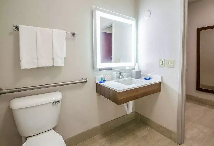 身障者適用スイートルーム, Holiday Inn Express & Suites   Olathe South, An Ihg