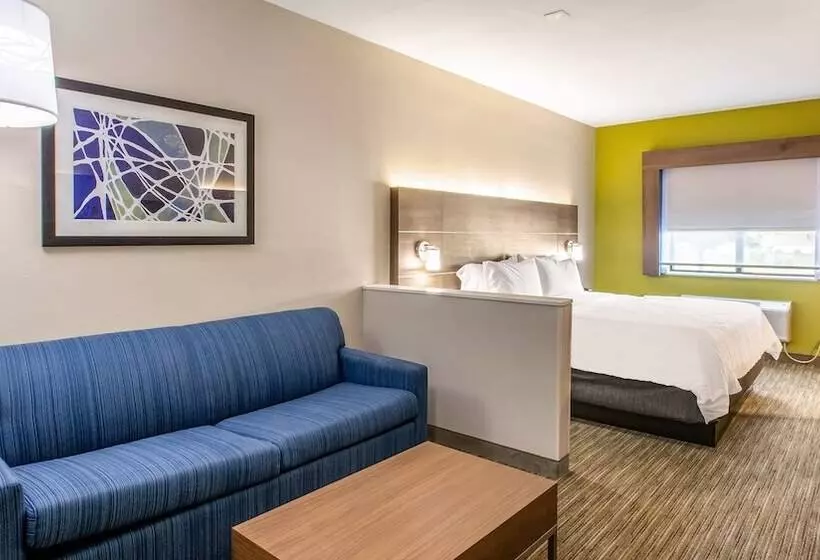 身障者適用スイートルーム, Holiday Inn Express & Suites   Olathe South, An Ihg