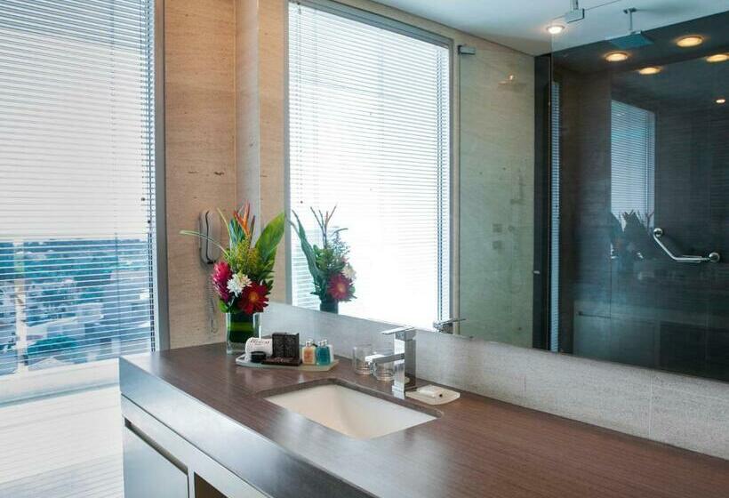 غرفة تنفيذية, Las Americas Torre Del Mar