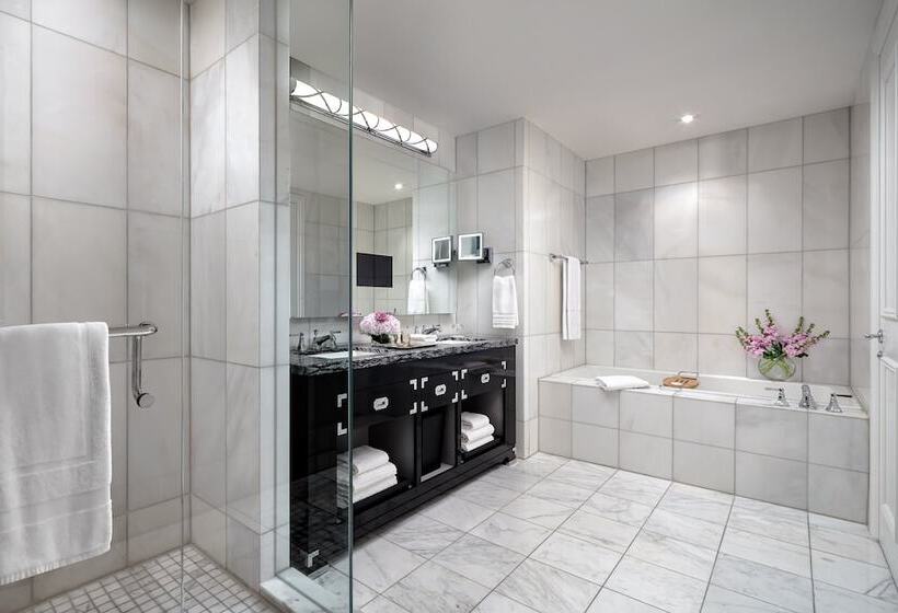 غرفة ديلوكس مطلة على المدينة, The St. Regis Toronto