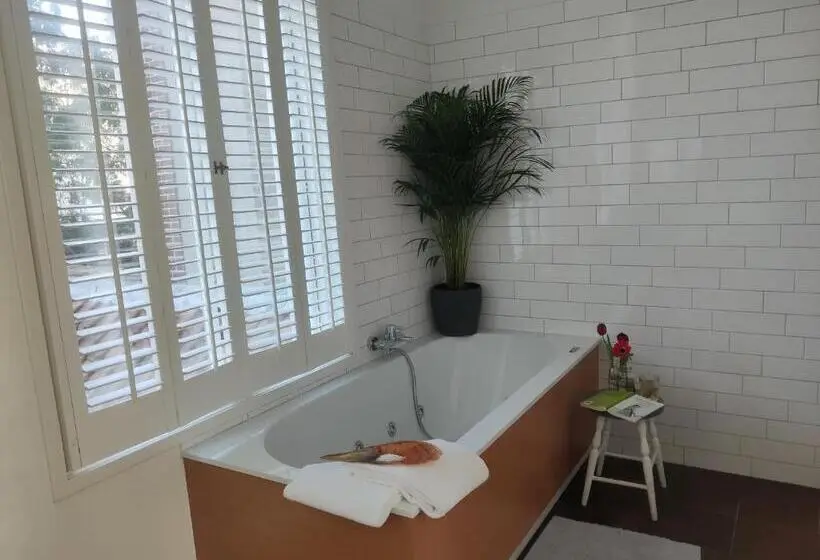 デラックストリプルルーム, B&b Hart Van Leiden