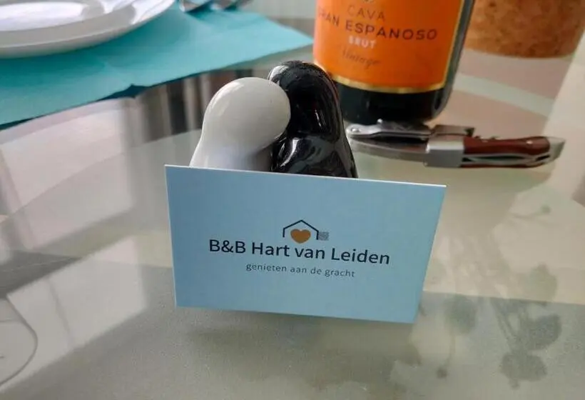 スタンダードルーム, B&b Hart Van Leiden
