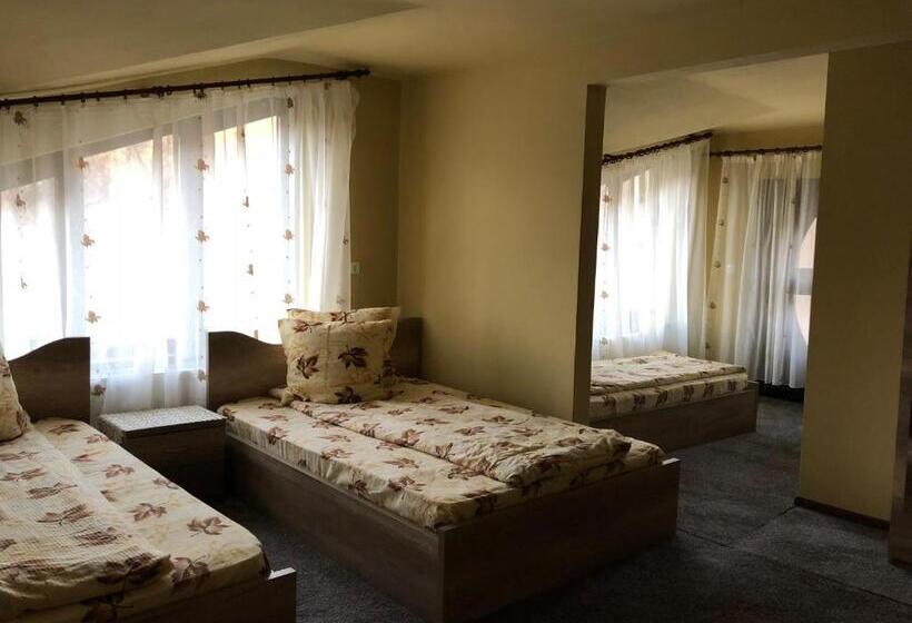 اتاق استاندارد با تخت بزرگ, Pensiunea Mirela Peștera Urșilor