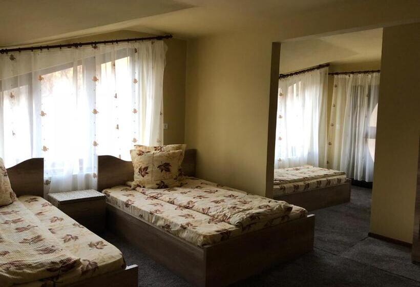 اتاق استاندارد با تخت بزرگ, Pensiunea Mirela Peștera Urșilor