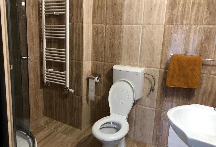 اتاق استاندارد با تخت بزرگ, Pensiunea Mirela Peștera Urșilor