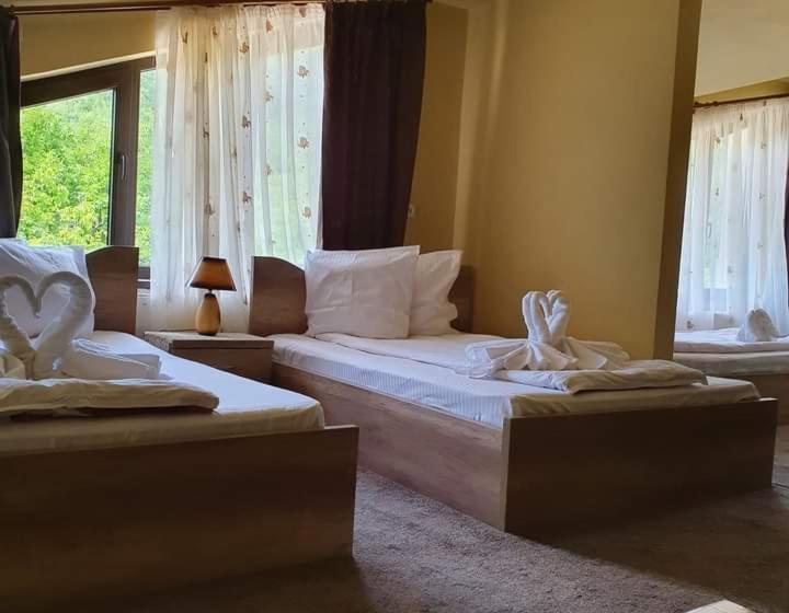 اتاق استاندارد با تخت بزرگ, Pensiunea Mirela Peștera Urșilor