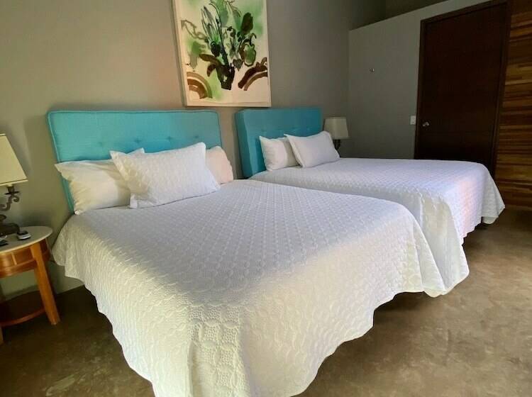 コンフォートルーム, Valentino