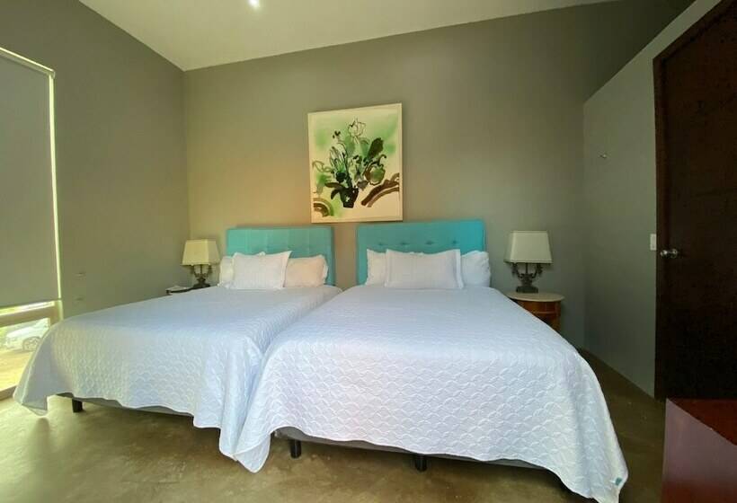 コンフォートルーム, Valentino