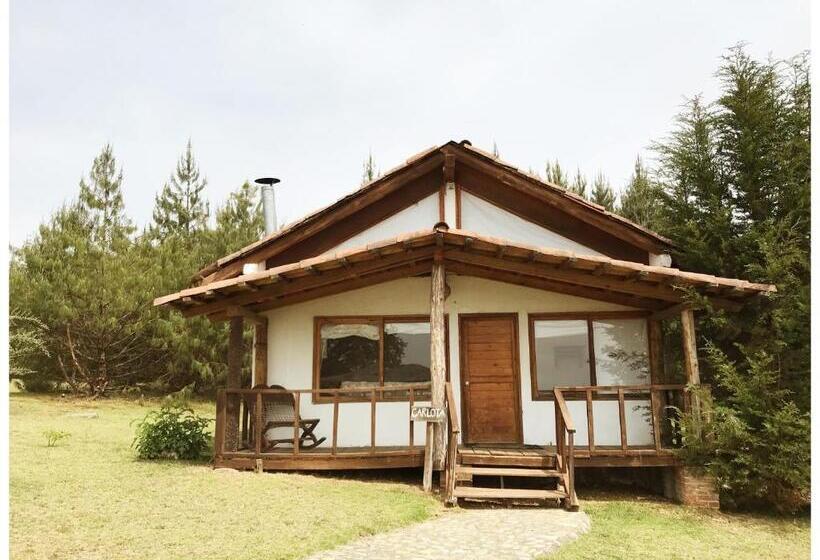 家族用バンガロー, Casa Kitsch