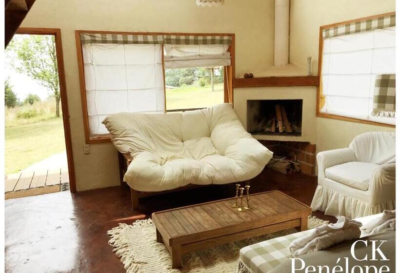 בונגלו משפחתי, Casa Kitsch