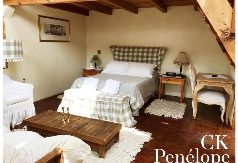 בונגלו משפחתי, Casa Kitsch