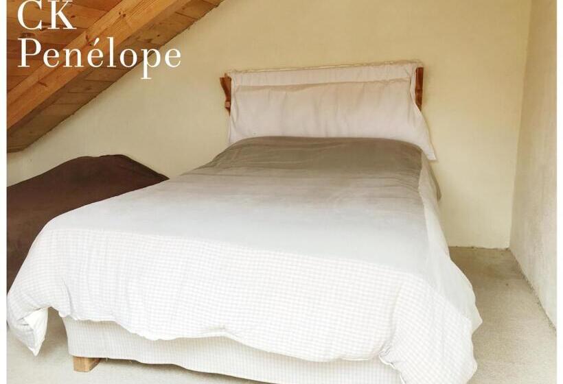 בונגלו משפחתי, Casa Kitsch