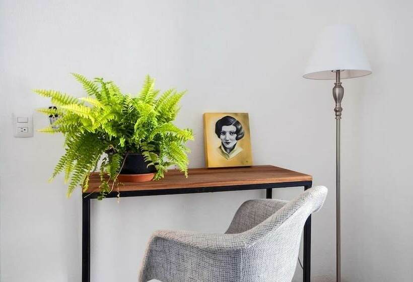 行政套房, Casa Nayar