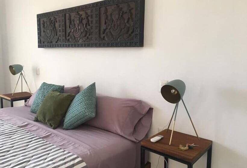 行政套房, Casa Nayar