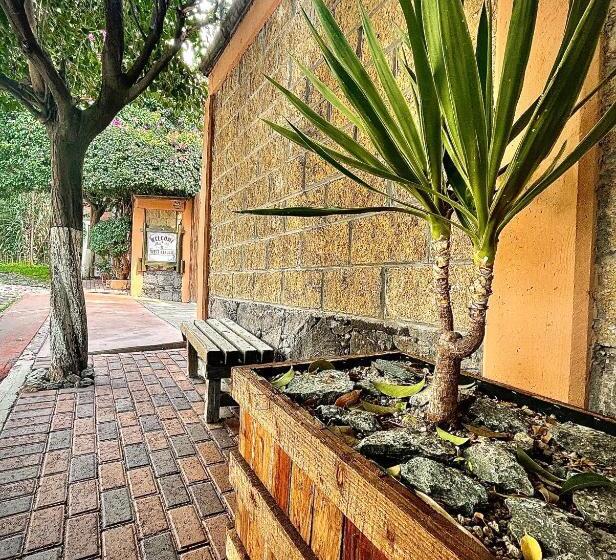 标准间, West Refugio