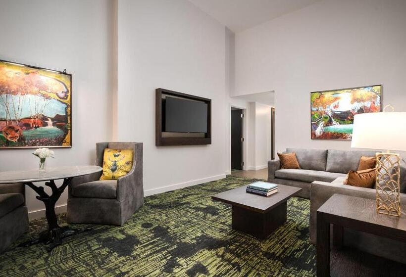 جناح مطل على المدينة, Grand Bohemian Lodge Greenville, Autograph Collection