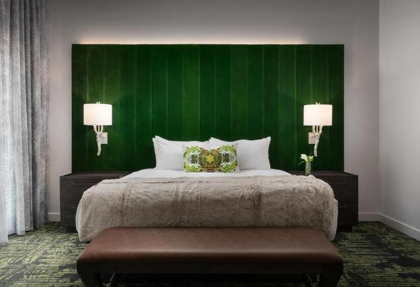 جناح مطل على المدينة, Grand Bohemian Lodge Greenville, Autograph Collection