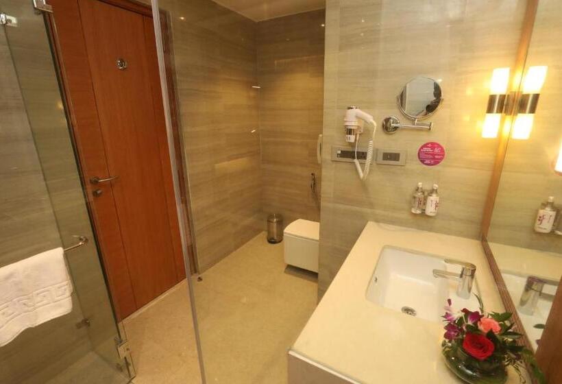 Номер Стандарт, Regenta Central Udaipur